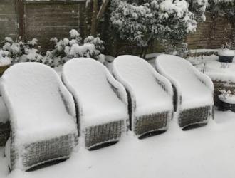 garden chairs