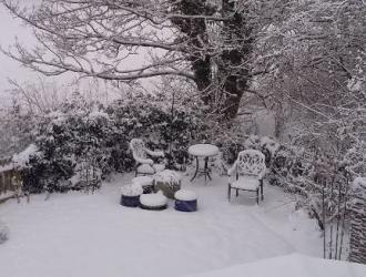 snowy garden